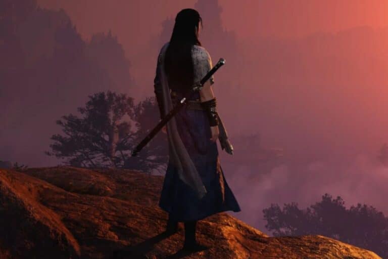 Guerrier sur colline au coucher de soleil.