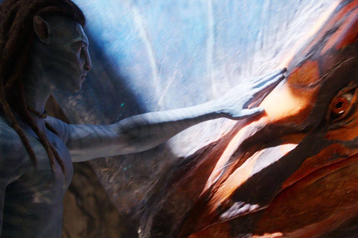 Personnage bleu touche une créature exotique colorée.