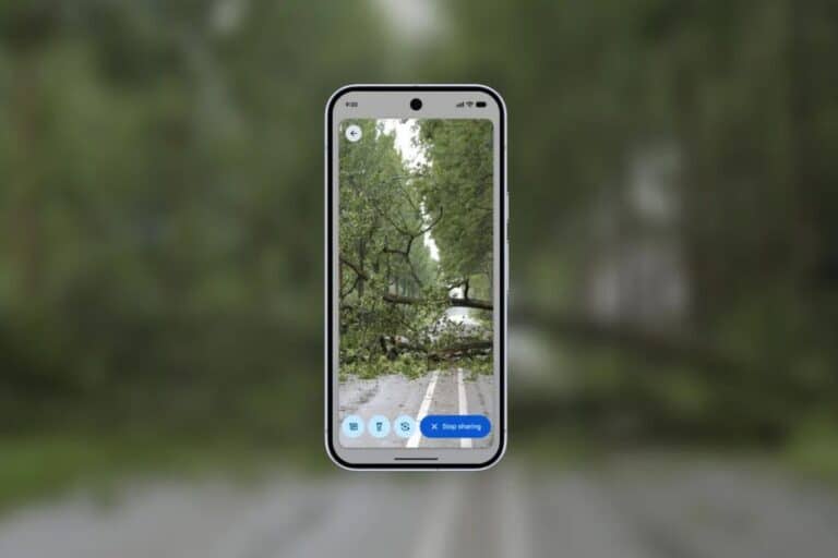 Route bloquée par arbre tombé sur téléphone.