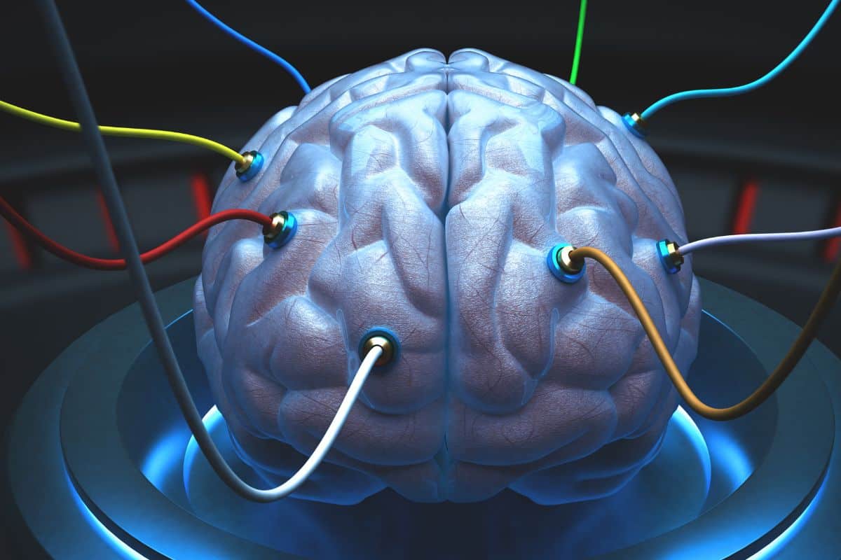 Cerveau connecté avec des câbles colorés.