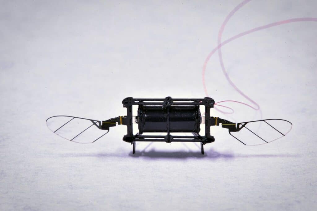 Petit robot insecte avec ailes transparentes.
