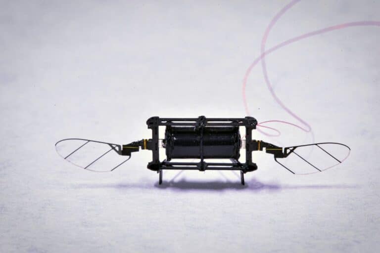 Petit robot insecte avec ailes transparentes.