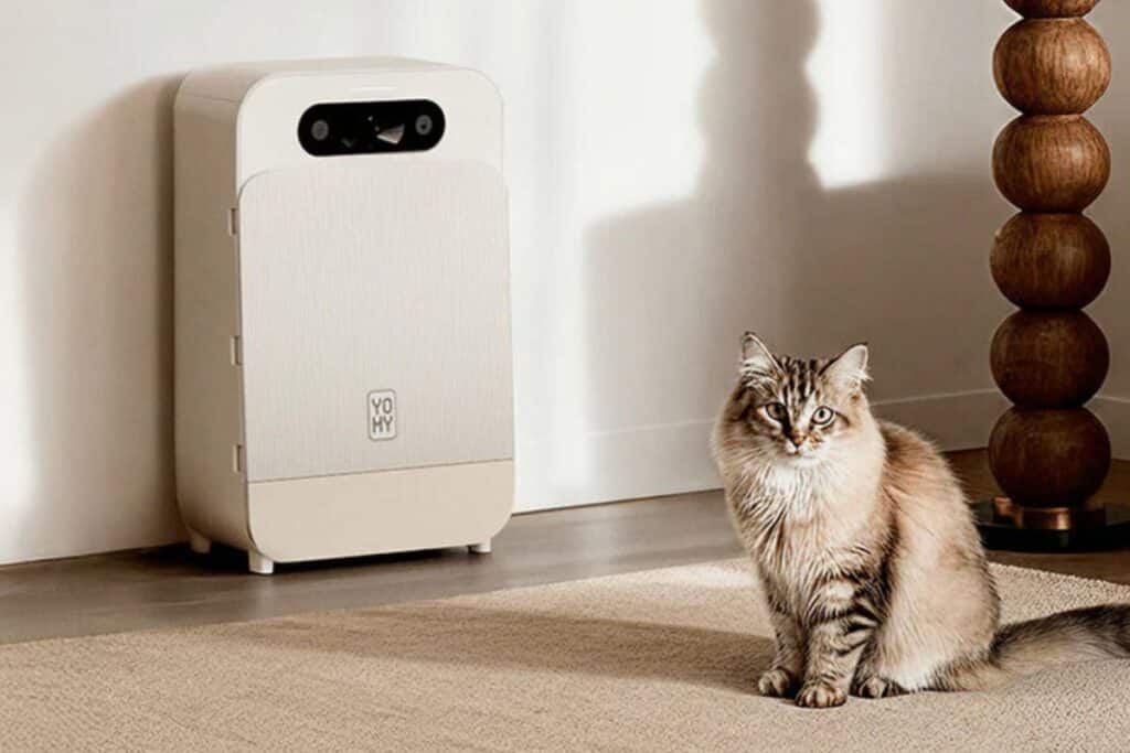 Chat assis près d'un purificateur d'air.