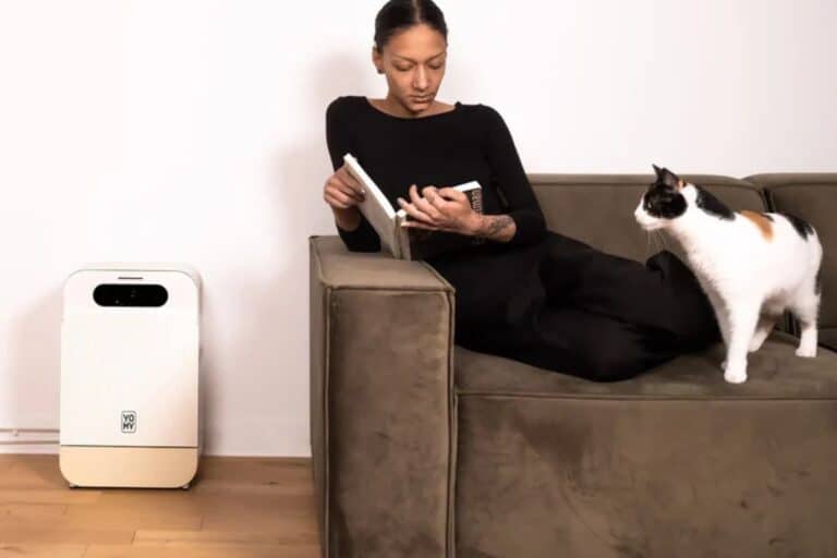 Personne lisant sur le canapé avec un chat.