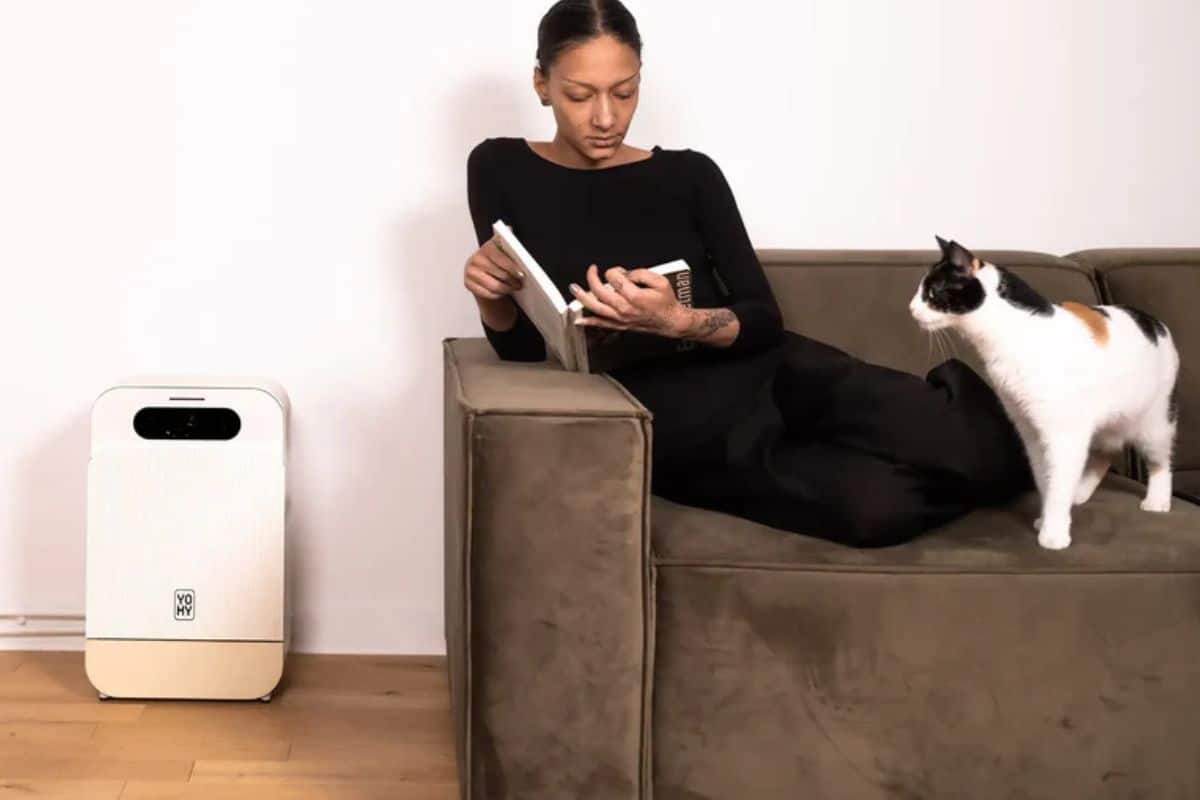 Personne lisant sur le canapé avec un chat.