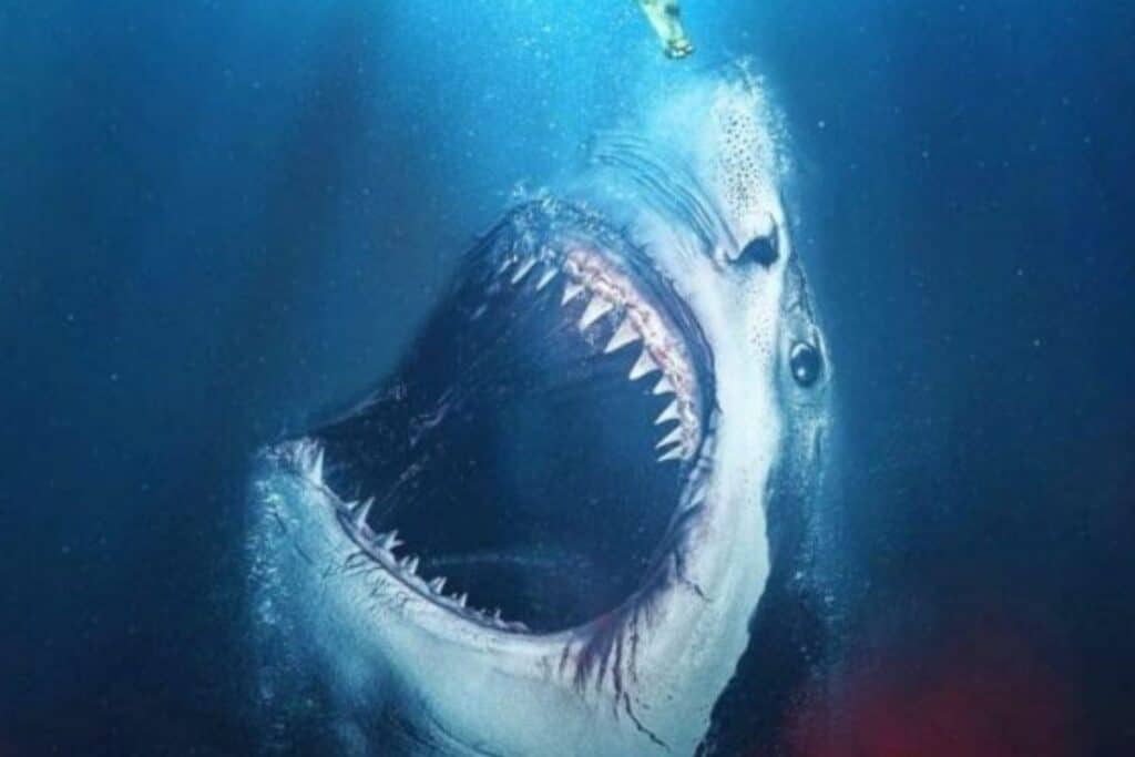 Requin attaquant avec dents visibles.