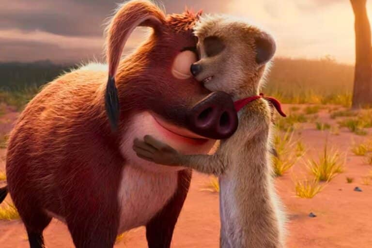 Surricate et phacochère s'embrassent dans le désert.