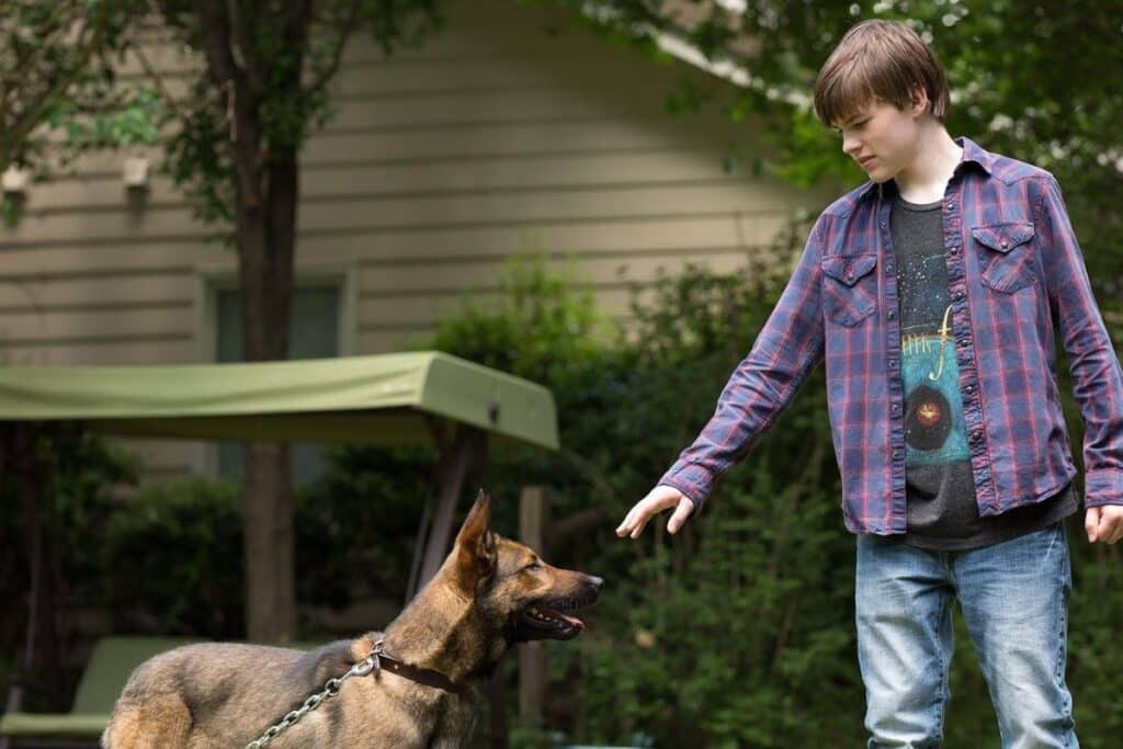 Garçon interagissant avec un chien dans un jardin.