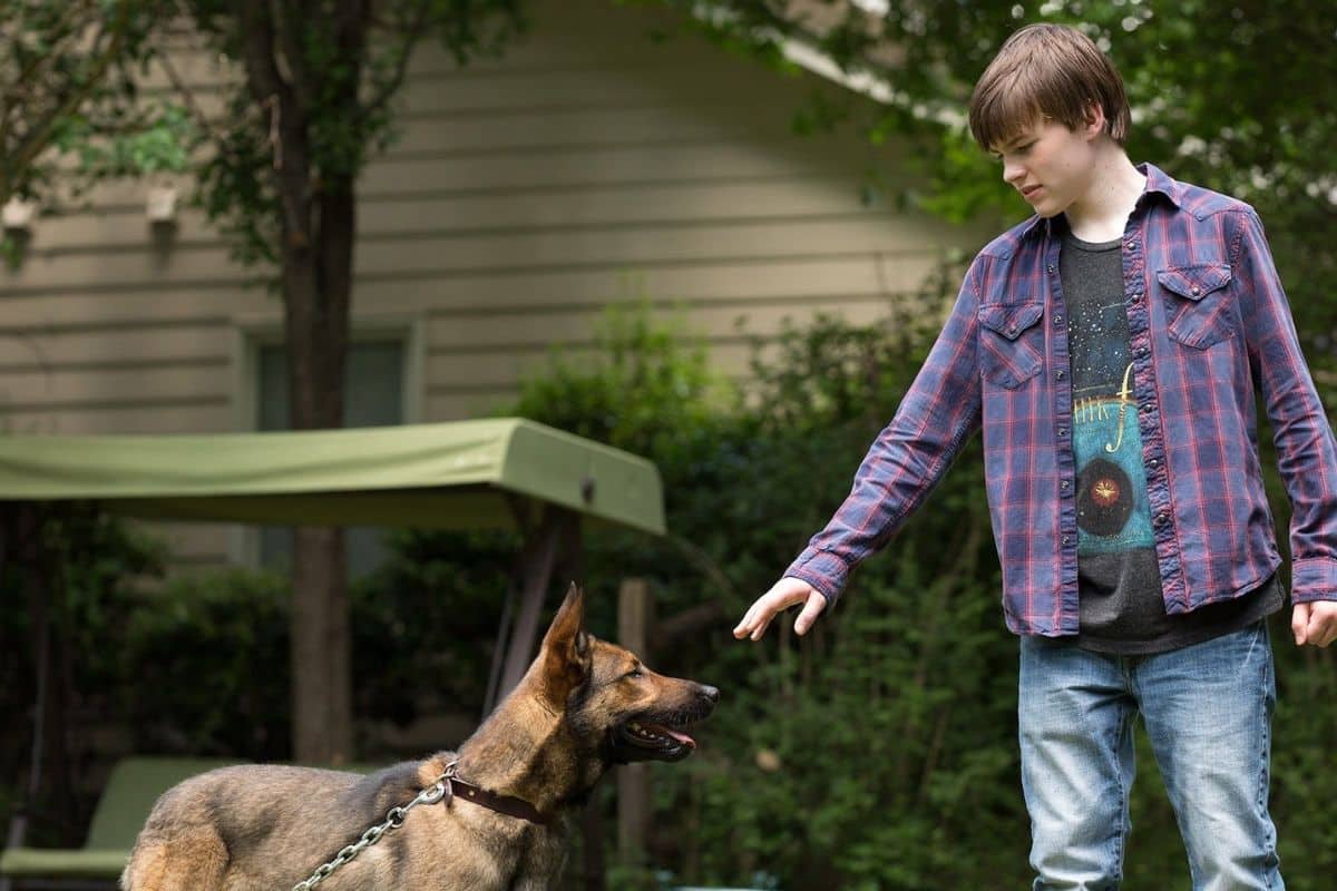 Garçon interagissant avec un chien dans un jardin.