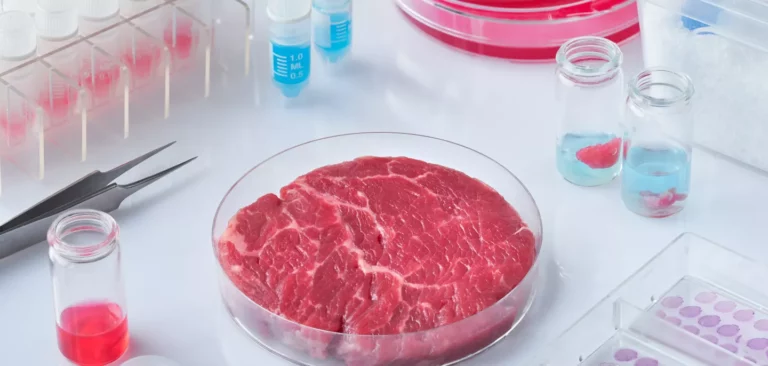 viande artificielle.jpeg